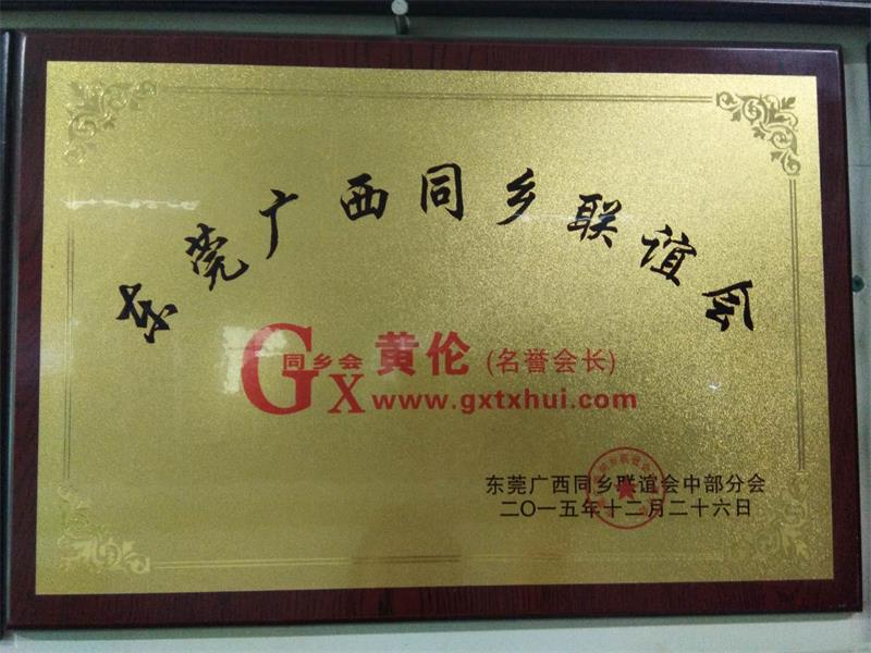 廣西同鄉(xiāng)聯(lián)誼會名譽(yù)會長